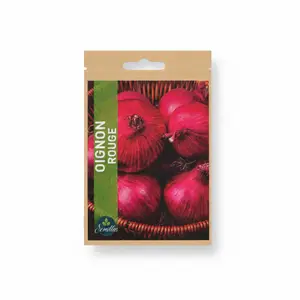 Sachet De Graine Oignon Morada