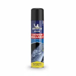 EXPERT LUSTREUR EXPRESS 400ML MICHELIN