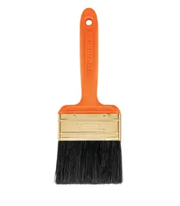 Brosse Professionnelle Avec Manche En Plastique 127 Mm