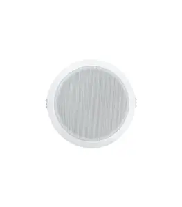 Haut parleur encastre 3 W 172 X 65 mm