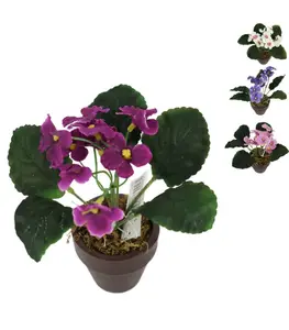 Plante artificielle cape violet en pot 16 cm 4 assorti
