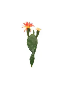 PLANTE ARTIFI CACTUS DISQUE+FLEUR ORANGE/VERT 22CM