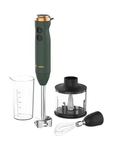 Mixeur plongeant Amerykana vert 800 W