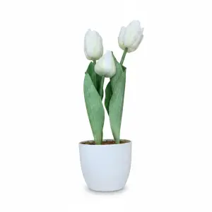 Plante Artificielle