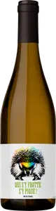 VIN DE FRANCE BLANC SEC