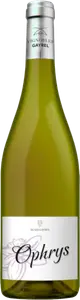 IGP CÔTES DU TARN BLANC SEC