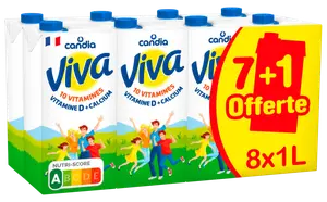 LAIT UHT VIVA