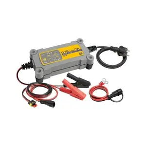 CHARGEUR BATTERIES 12V INVERTER