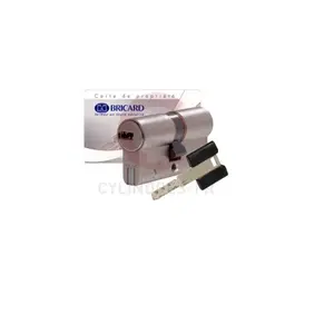 Cylindre serrure BRICARD – Dual XPS