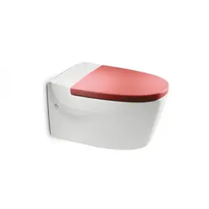 Cuvette De Wc Suspendue ROCA – khroma.