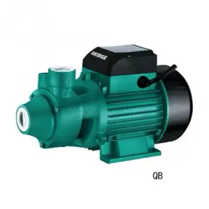 Pompe périphérique QB60