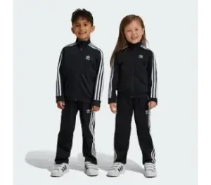 FIREBIRD TS BLACK ORG