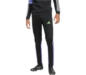 F50 TR PNT Y BLACK/PURRUS