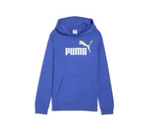 ESS 2 COLOR No.1 Logo Hoodie TR B