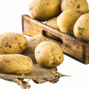 Pomme de Terre Blanche 500g
