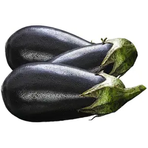 Aubergine 500g