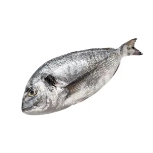 Dorade d'Élevage 300-400g