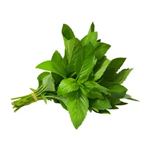Menthe Non-Traitée Botte À La Pièce