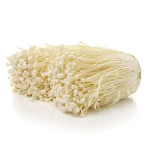 Enoki