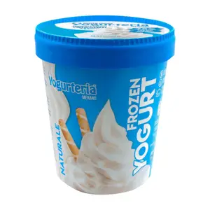 Pot Yaourt Glacé Nature Sans Lactose Yogurteria 500ml
