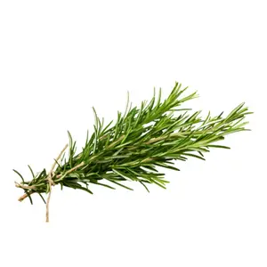 Romarin à La Pièce