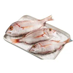Pageot Coq Rouge au Kg