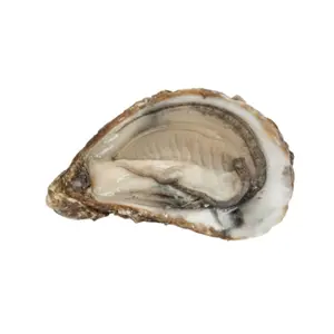 Huître N°3