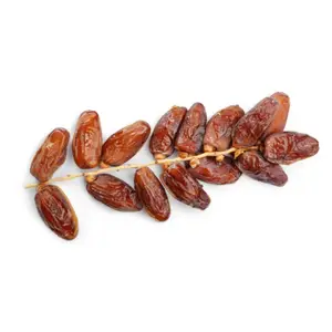 Datte Standard 500g