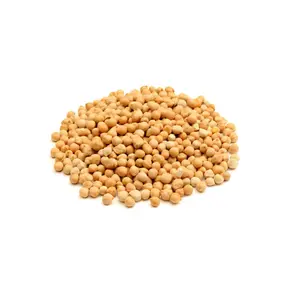 Pois Chiches Petit Calibre en Vrac 500g