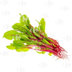 Pousse Betterave 100g