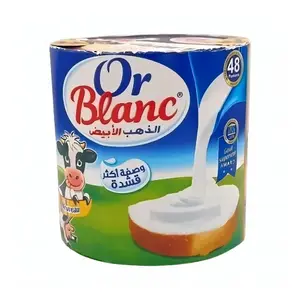 Lot de Fromage Fondu Or Blanc 48 portions