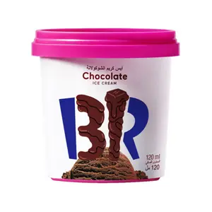 Baskin Robbins bac de crème glacée chocolat 120ml