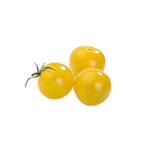 Tomate Cerise Ronde Jaune Barquette 250g