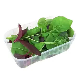 Mesclun Barquette 100g