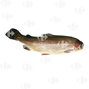 Truite Arc-en-ciel Pleine 1-2kg - Filière Qualité