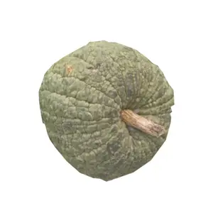 Courge Beragmousse 500g