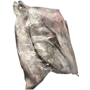Bogue Essaies Asmak Sud au Kg
