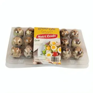 Oeuf de Caille Ovocorp 18 unités