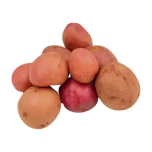 Pomme de Terre Rouge 500g