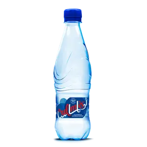 Eau Gazeuse Oulmès 50cl