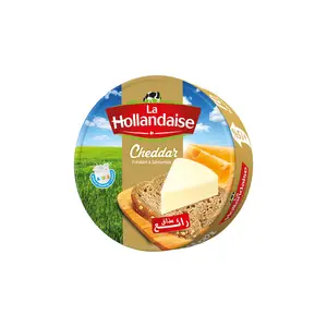 Fromage fondu cheddar 8 méga portions - LA HOLLANDAISE