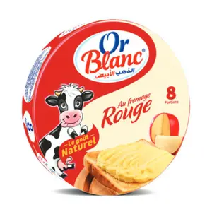 Fromage Fondu À L'Edam 8 Portions - Or Blanc