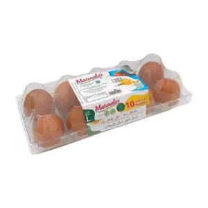 Œufs gros calibre x10 unités - MATINALES