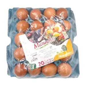 Mini Plateau d'Oeufs Matinales 20 unités