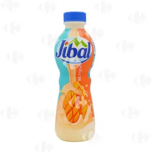 Yaourt À Boire Mangue 380G - Jibal