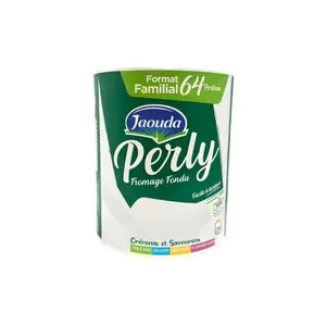 Fromage fondu 16 portions - PERLY