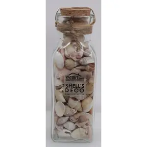 BOUTEILLE MELANGE COQUILLAGE (6X19