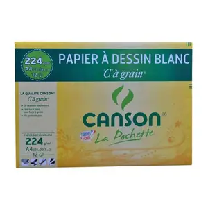 Papier à dessin "C" à grain x12 A4(21x29,7cm) 224g/m² - CANSON