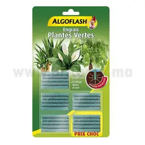 Engrais Plantes Vertes 25 Batonnets
