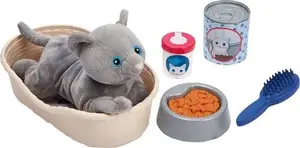 EC Cat and bed